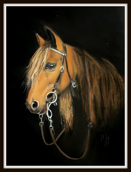 pastel d'un cheval nommé Acajou