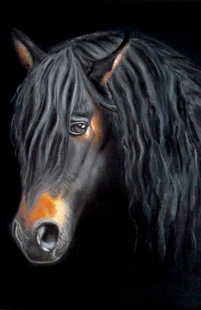pastel de cheval noir