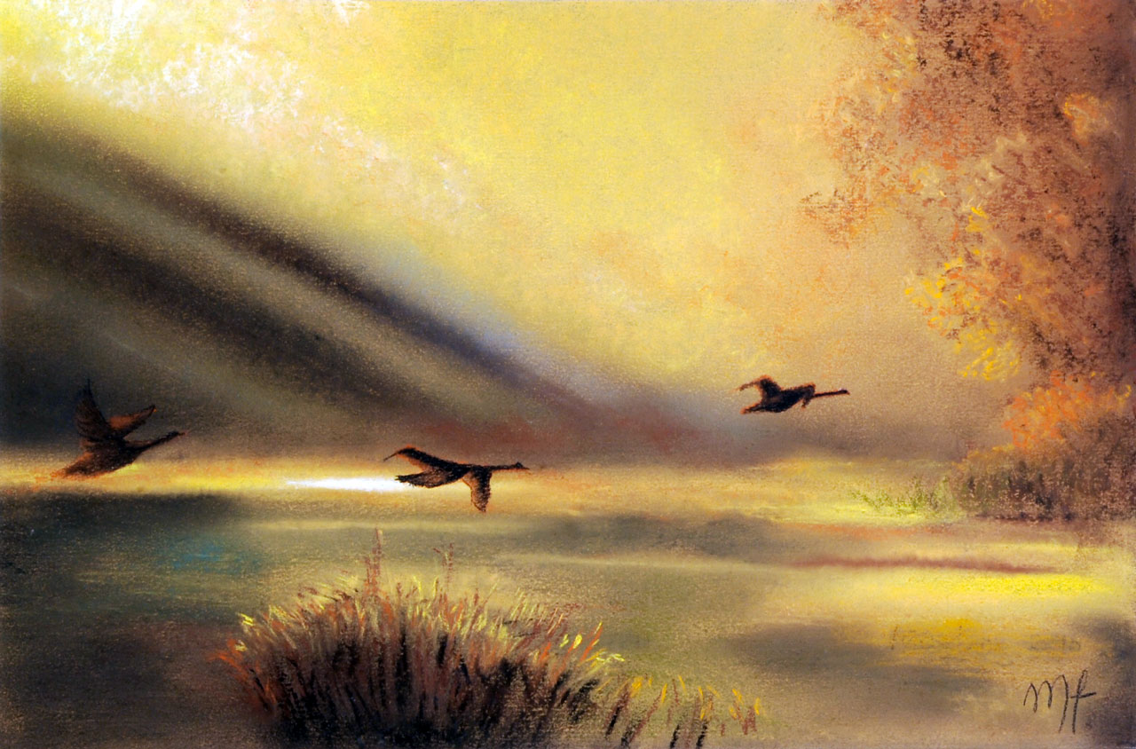 pastel d'un envol d'oiseaux