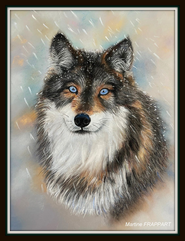 pastel portrait d'un loup