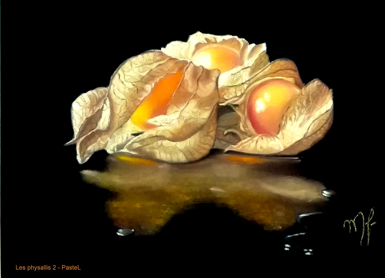 pastel d'un physallis
