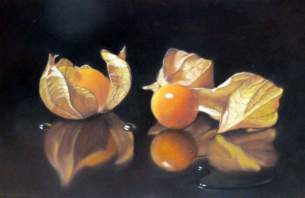 pastel d'un physallis