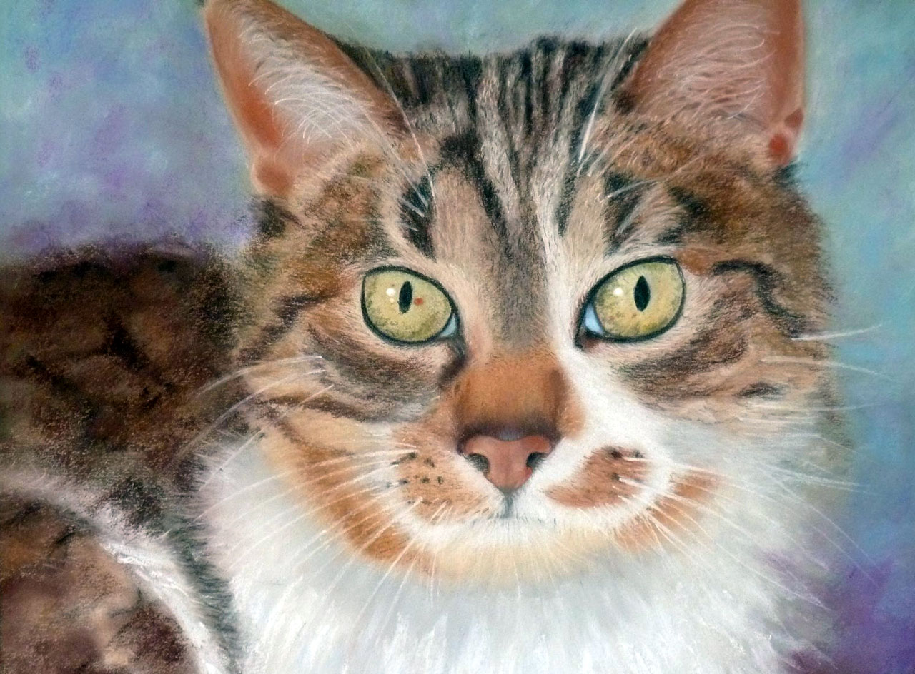 pastel d'un chat'