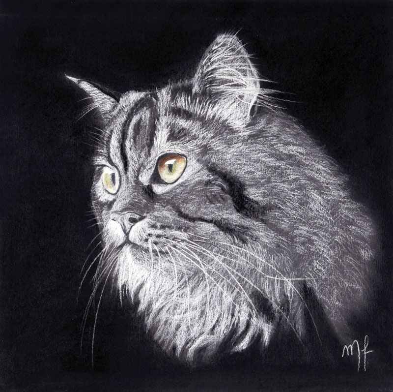 pastel d'un chat