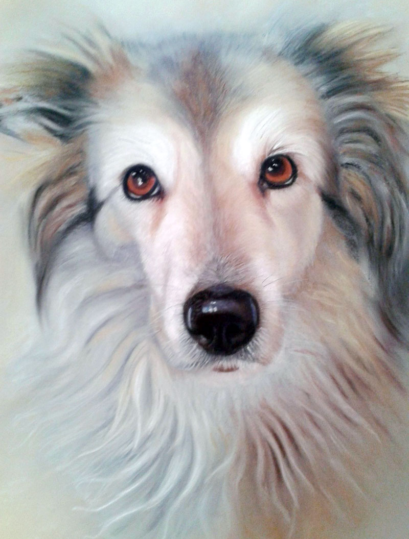pastel d'un chien safety